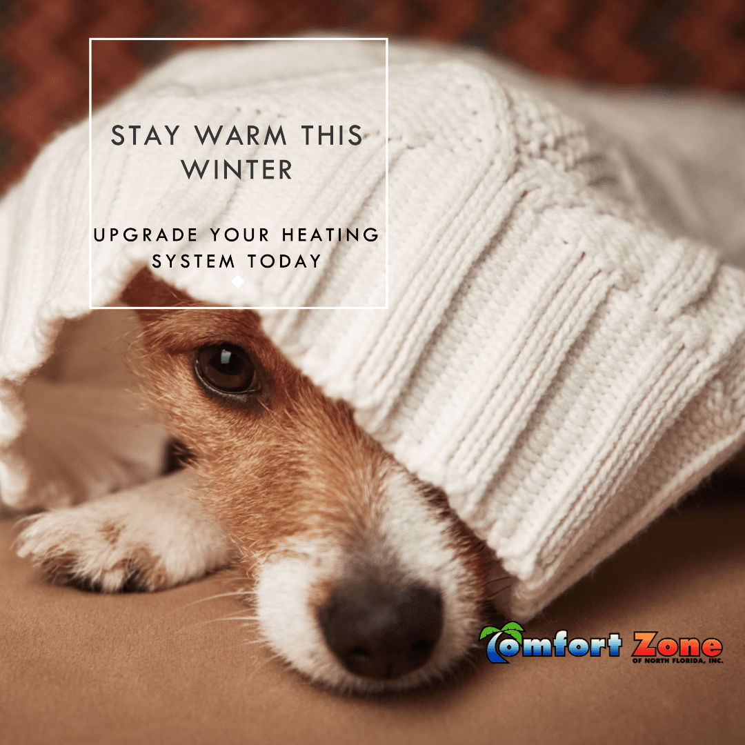Dogs staying warm while Comfort Zone technicians repair the heating system, ensuring comfort and efficiency in Jacksonville homes.