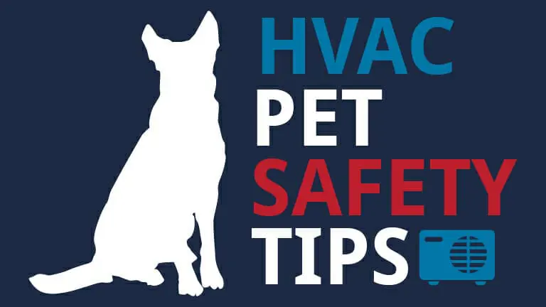 BlogHeader_HVACPetTips_AND_SmellsLikeGas-01-1-1