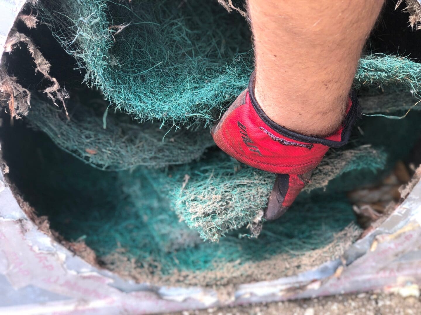 Close-up of a person's ankle with a red shoe stepping into a hole lined with green mesh and debris.