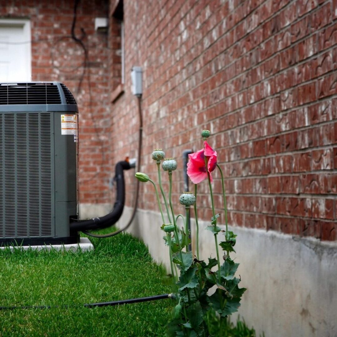 A red flower in front of an air conditioner. A red flower in front of an air conditioner.